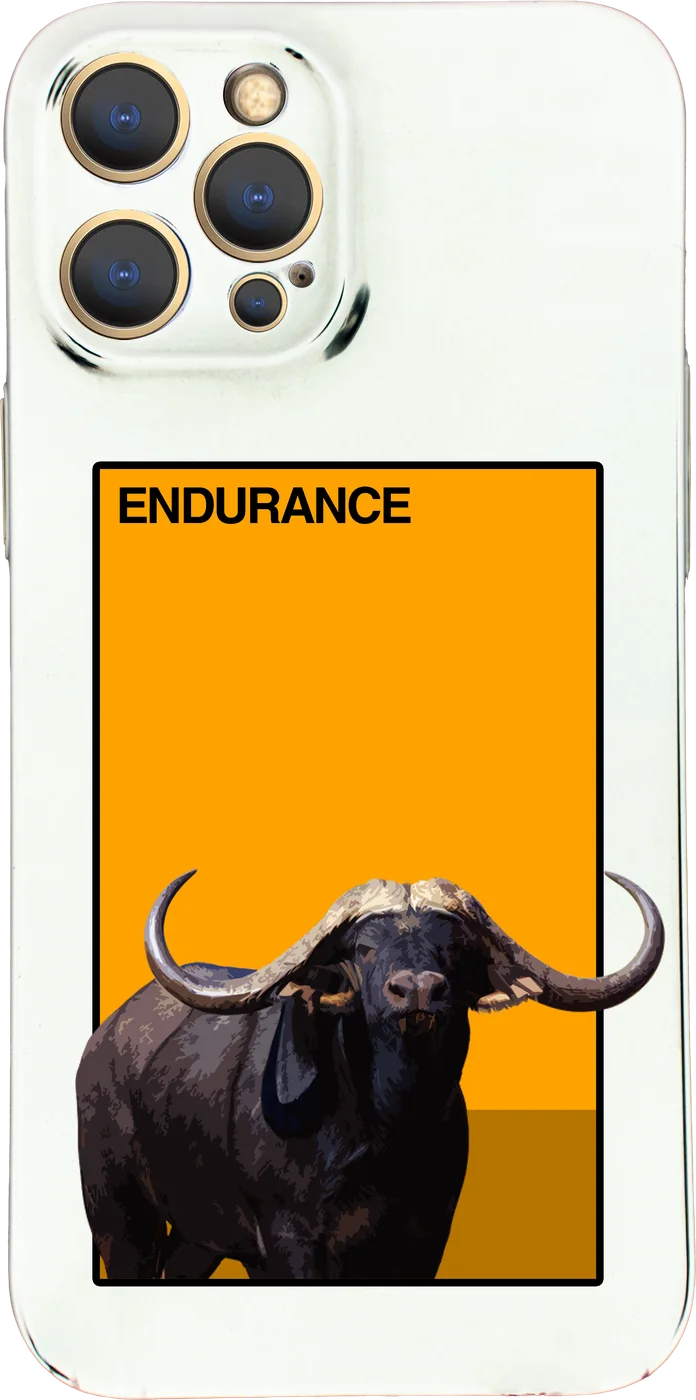 Endurance — Brothers Caps